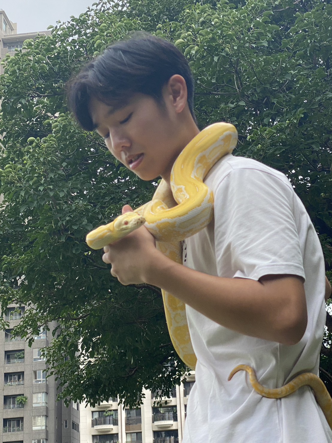  陳恆恩 (大學部) 